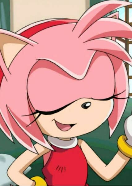Amy Rose (Sonic X) photo