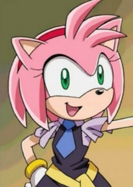 Amy Rose (Sonic X) photo