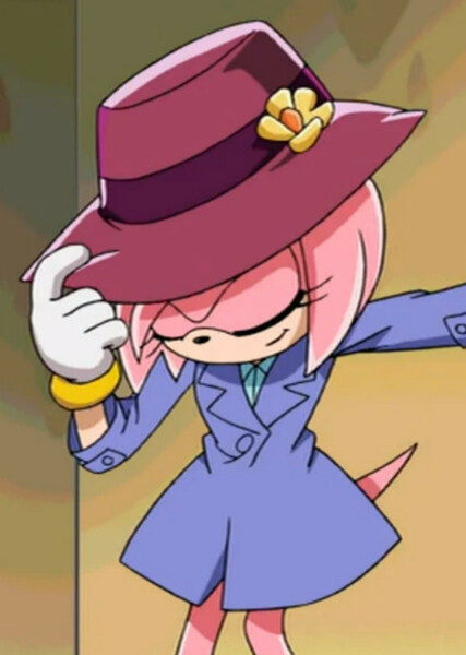 Amy Rose (Sonic X) photo
