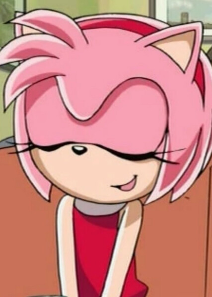 Amy Rose (Sonic X) photo
