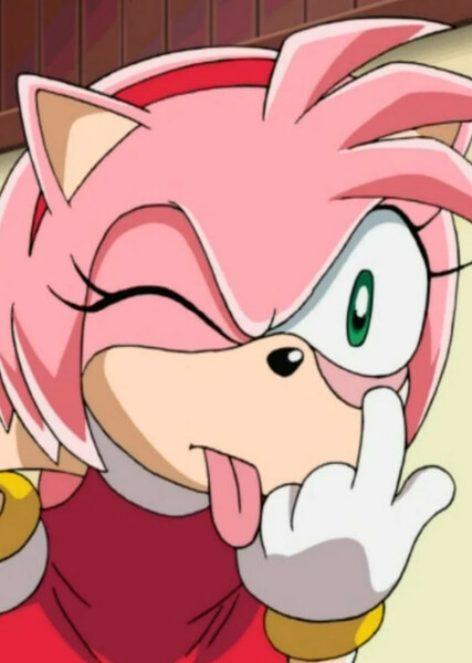 Amy Rose (Sonic X) photo