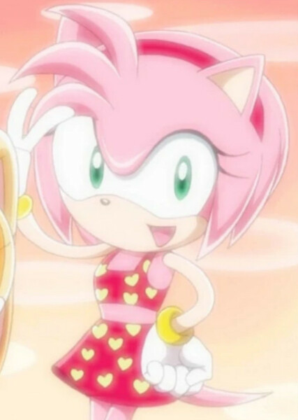 Amy Rose (Sonic X) photo