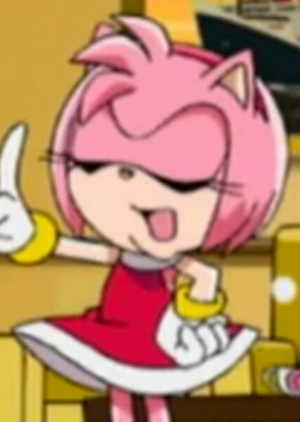 Amy Rose (Sonic X) photo
