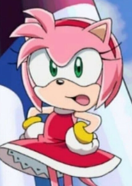 Amy Rose (Sonic X) photo