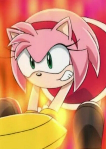 Amy Rose (Sonic X) photo