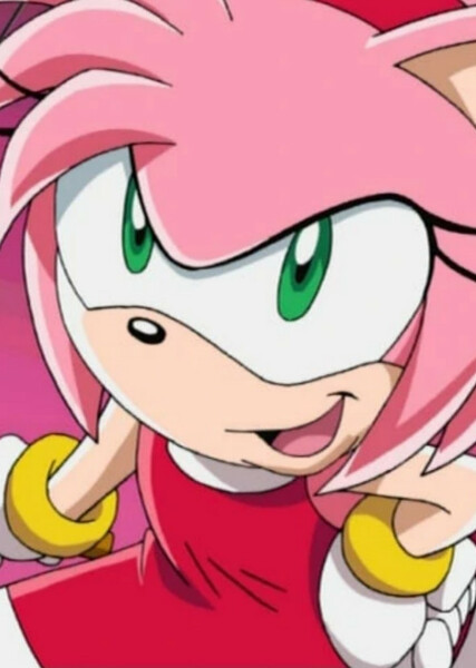 Amy Rose (Sonic X) photo
