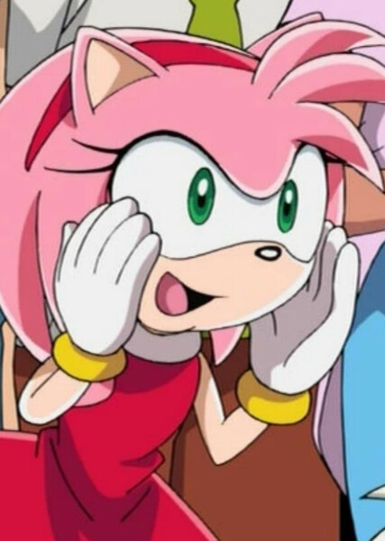 Amy Rose (Sonic X) photo