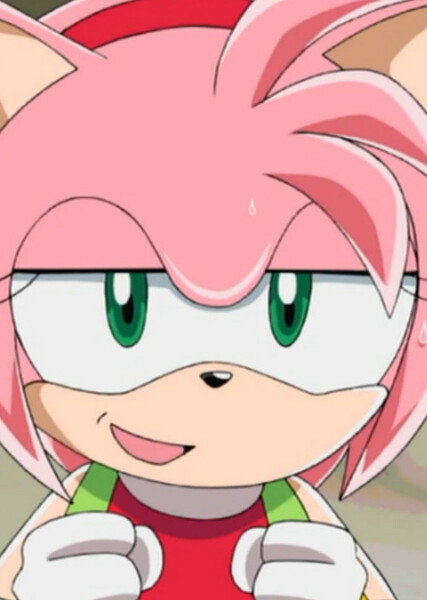 Amy Rose (Sonic X) photo