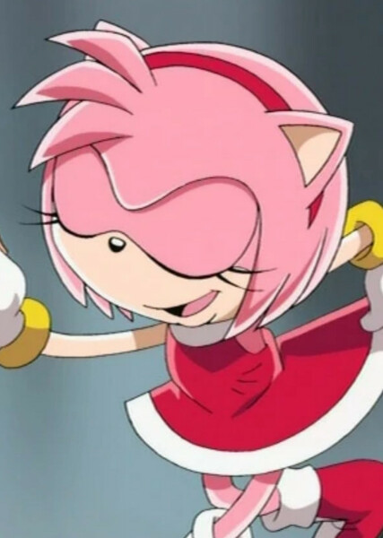 Amy Rose (Sonic X) photo