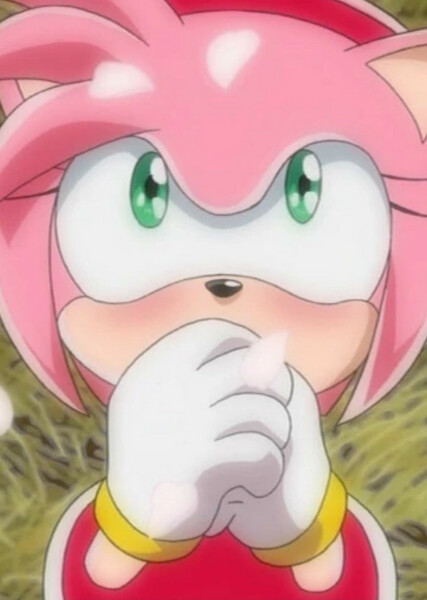 Amy Rose (Sonic X) photo