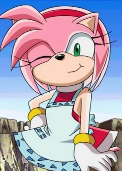 Amy Rose (Sonic X) photo