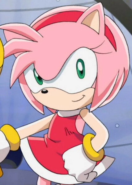 Amy Rose (Sonic X) photo