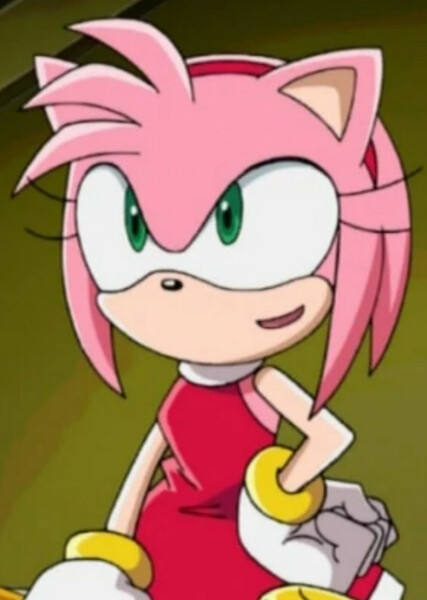 Amy Rose (Sonic X) Photo on myCast - Fan Casting Your Favorite Stories