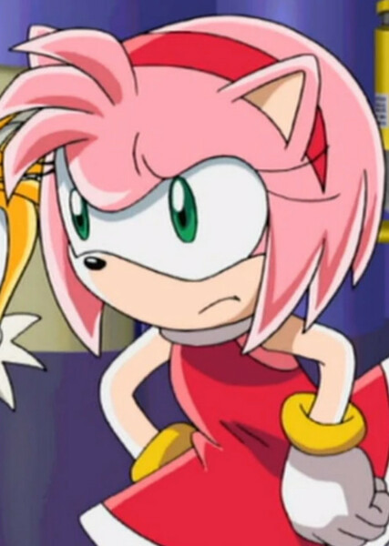 Amy Rose (Sonic X) photo