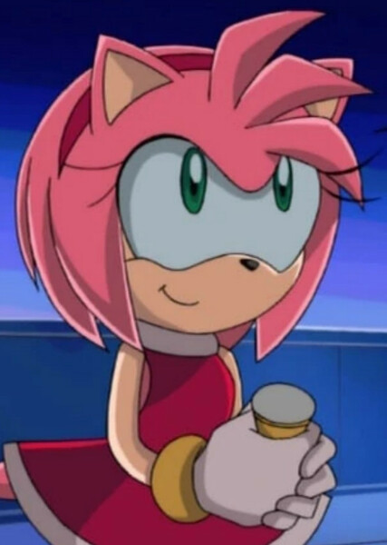 Amy Rose (Sonic X) photo