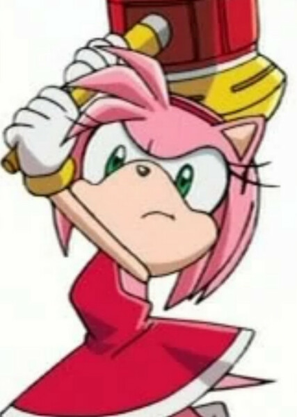 Amy Rose (Sonic X) photo