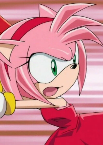 Amy Rose (Sonic X) photo