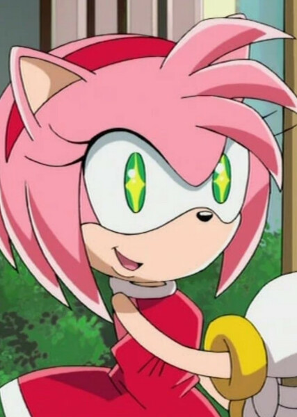 Amy Rose (Sonic X) photo