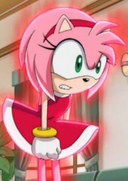 Amy Rose (Sonic X) photo