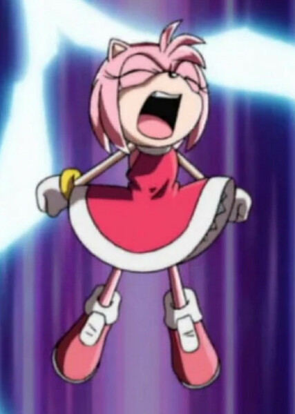 Amy Rose (Sonic X) photo
