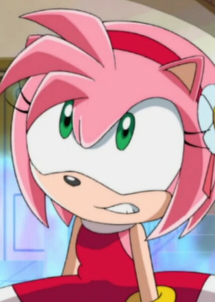 Amy Rose (Sonic X) photo