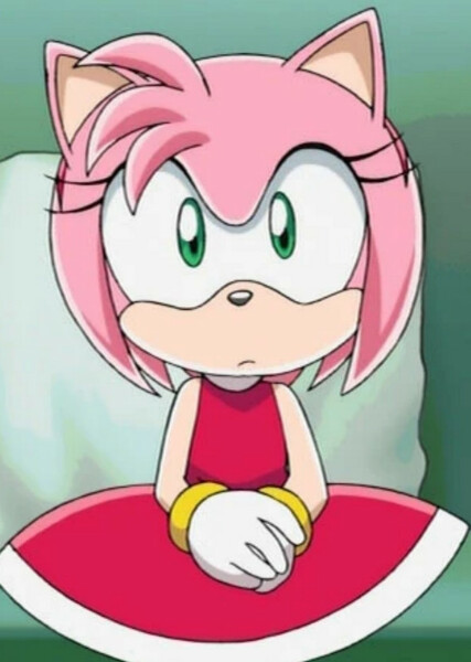 Amy Rose (Sonic X) photo