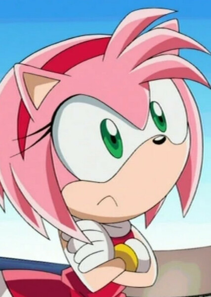 Amy Rose (Sonic X) photo