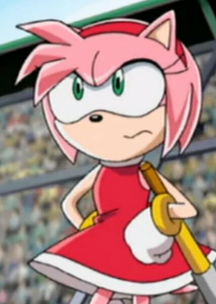Amy Rose (Sonic X) photo
