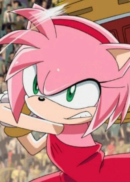 Amy Rose (Sonic X) photo