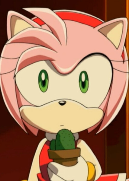 Amy Rose (Sonic X) photo
