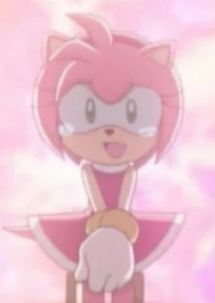 Amy Rose (Sonic X) photo