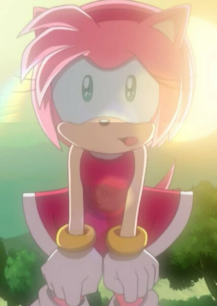 Amy Rose (Sonic X) photo