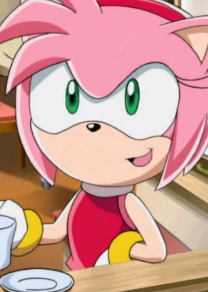 Amy Rose (Sonic X) photo