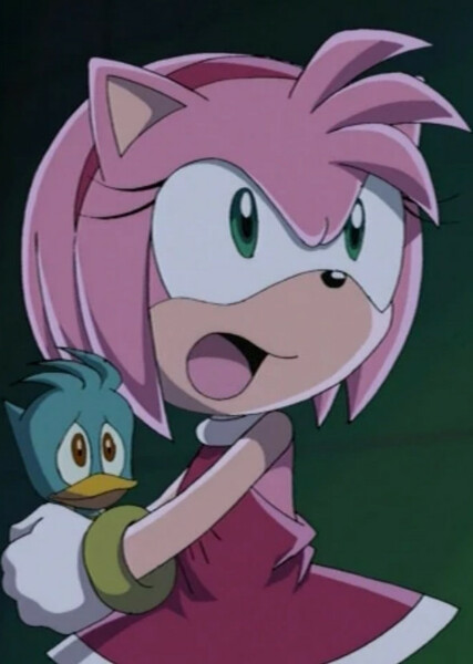 Amy Rose (Sonic X) photo