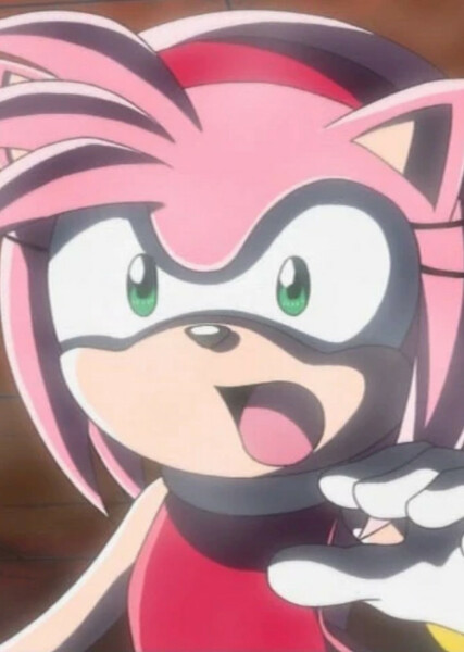 Amy Rose (Sonic X) photo