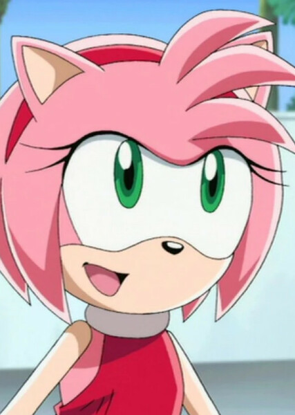 Amy Rose (Sonic X) photo