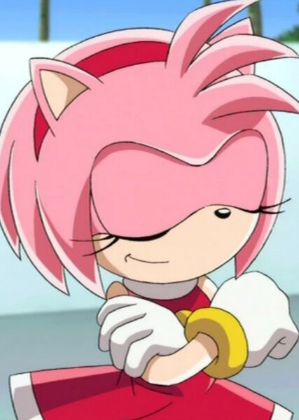 Amy Rose (Sonic X) photo