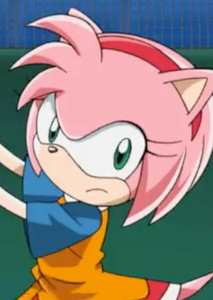 Amy Rose (Sonic X) photo