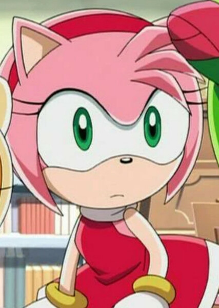 Amy Rose (Sonic X) photo