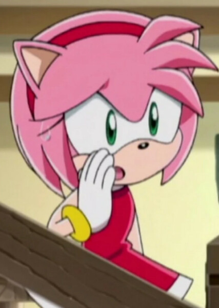 Amy Rose (Sonic X) photo