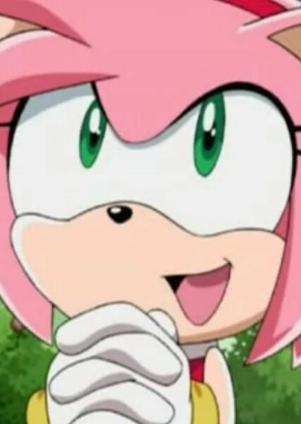 Amy Rose (Sonic X) photo