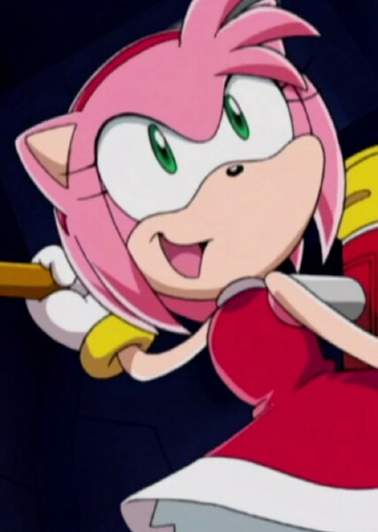 Amy Rose (Sonic X) photo