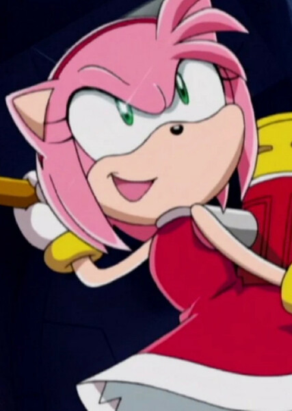 Amy Rose (Sonic X) photo