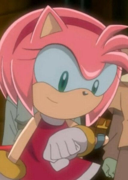 Amy Rose (Sonic X) photo