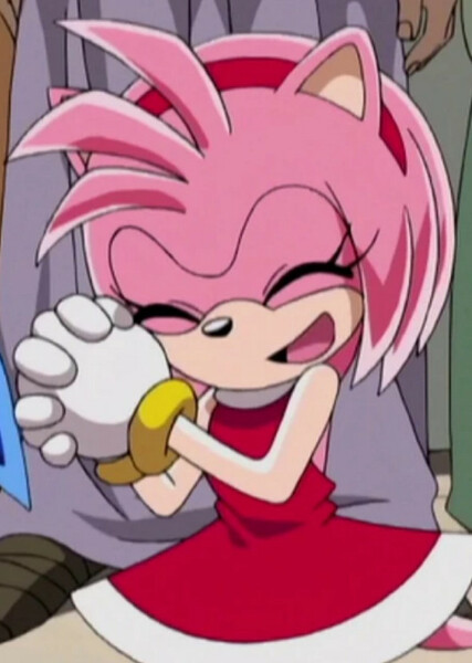 Amy Rose (Sonic X) photo