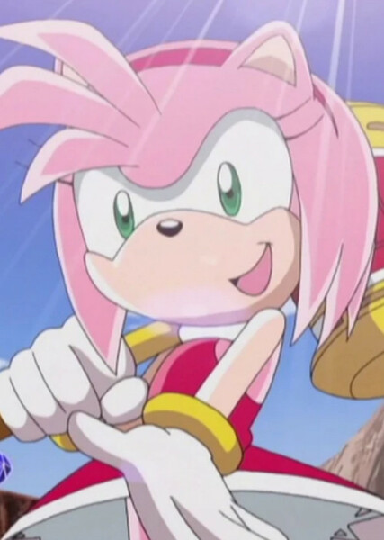 Amy Rose (Sonic X) photo