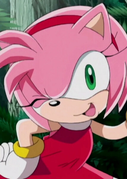 Amy Rose (Sonic X) photo