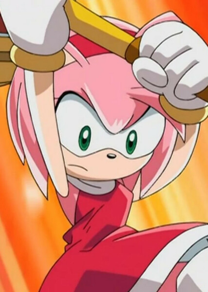Amy Rose (Sonic X) photo