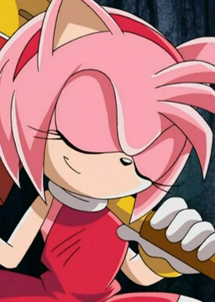Amy Rose (Sonic X) photo
