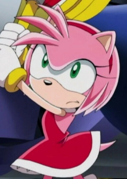 Amy Rose (Sonic X) photo